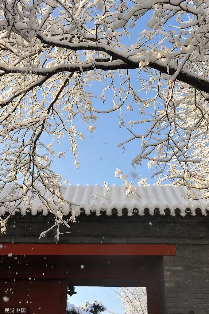 微信图片_20221222092021.jpg