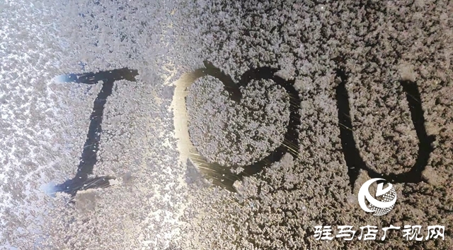 驻马店市区迎来今冬第一场雪