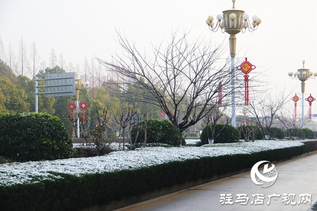 驻马店市区迎来今冬第一场雪