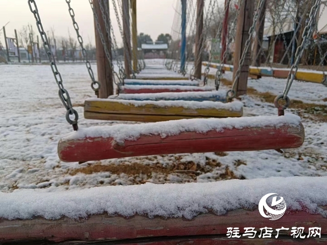 氛围感拉满！驻马店市区迎来今冬第一场雪