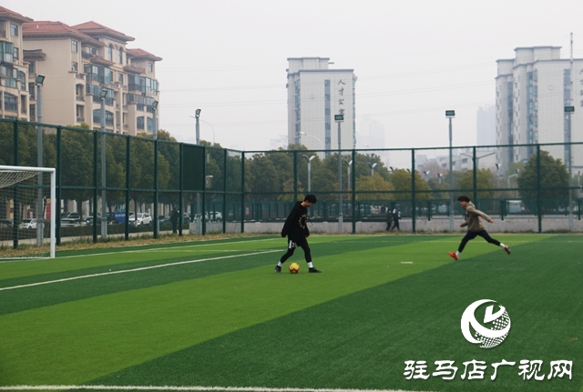 跑步、打球、 踢球…安排！驻马店市体育场免费开放啦~