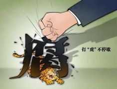 中纪委网站：2022反腐记