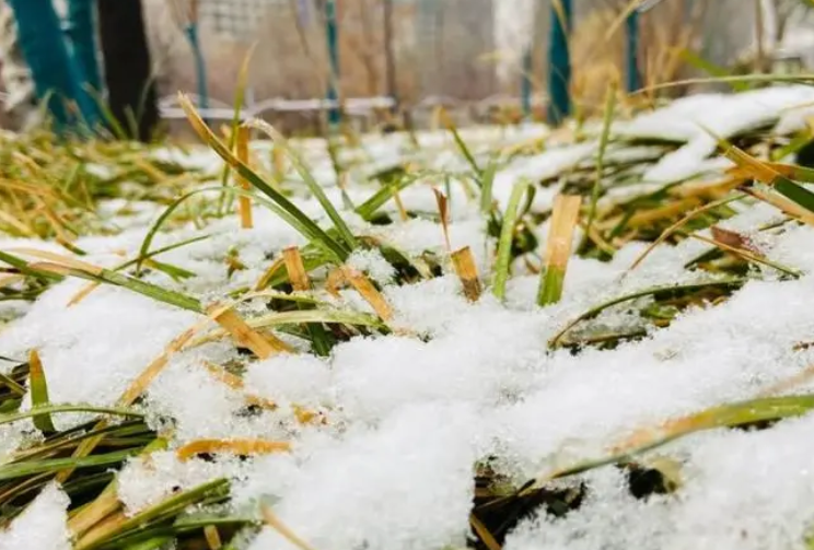 华北多地迟迟等不来初雪，人工增雪可行吗