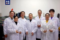 我国科学家构建出新型人工碳晶体