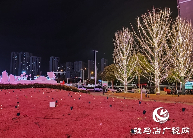 驻马店：花灯璀璨迎新春