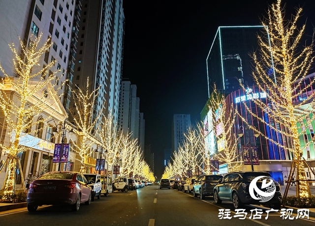 驻马店：花灯璀璨迎新春