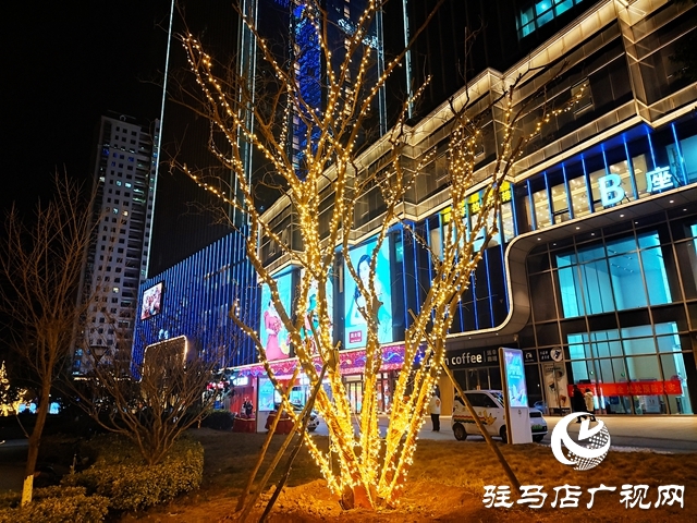 驻马店：花灯璀璨迎新春