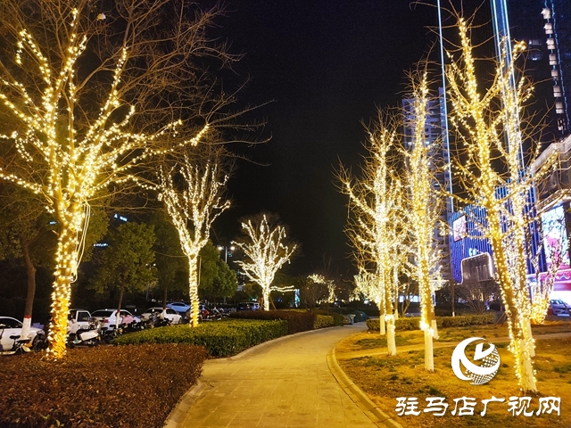 驻马店：花灯璀璨迎新春