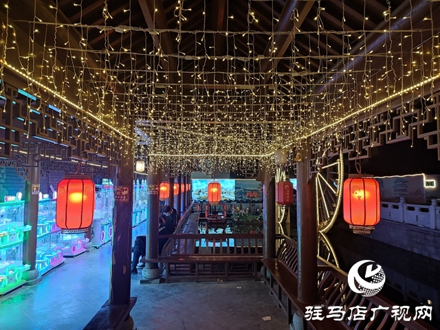 驻马店：花灯璀璨迎新春