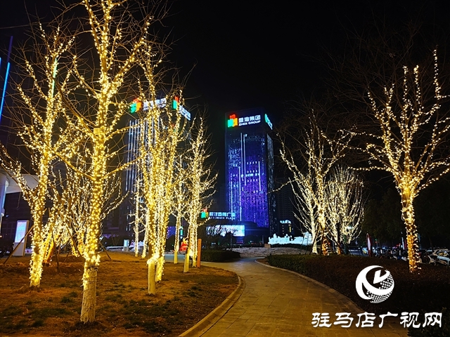 驻马店：花灯璀璨迎新春
