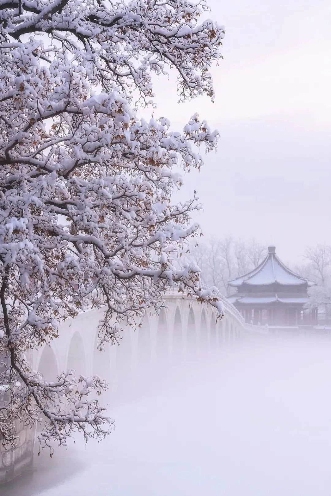 微信图片_20230120090154.jpg