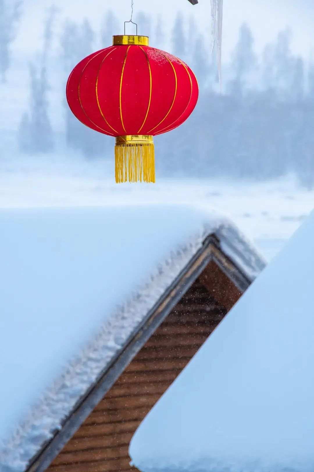 微信图片_20230120090208.jpg
