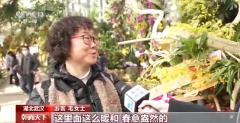 各地“年味”大餐迎新春 热门旅游景点游客明显增多