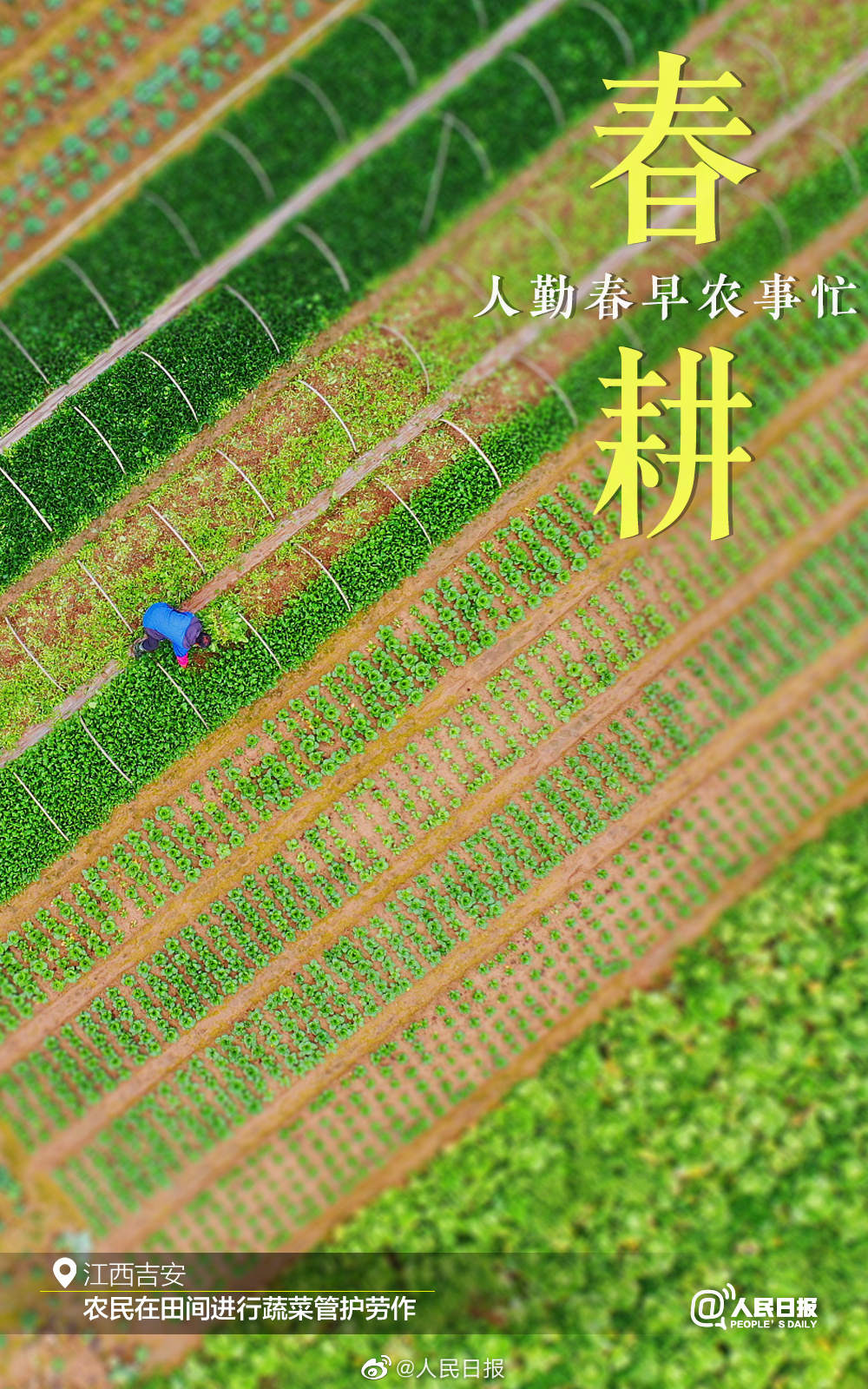 微信图片_20230216092616.jpg