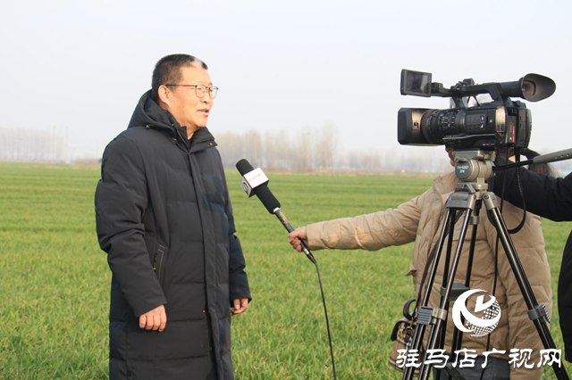 图片9.png