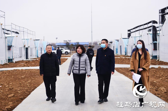 汝南县：调研产业发展 助推乡村振兴