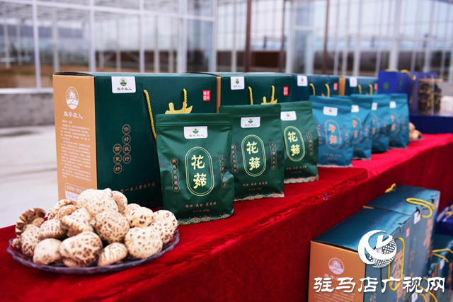 汝南县：调研产业发展 助推乡村振兴