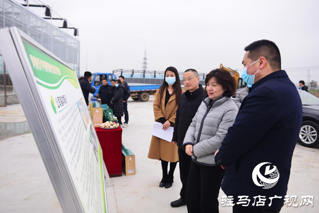 汝南县：调研产业发展 助推乡村振兴