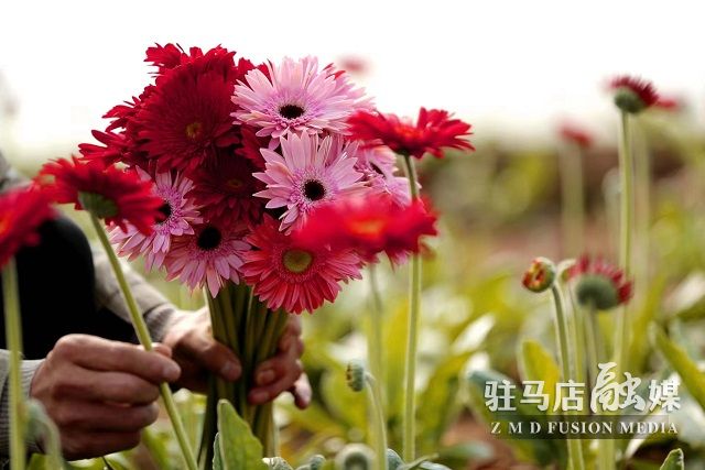 微信图片_202302180815515.jpg