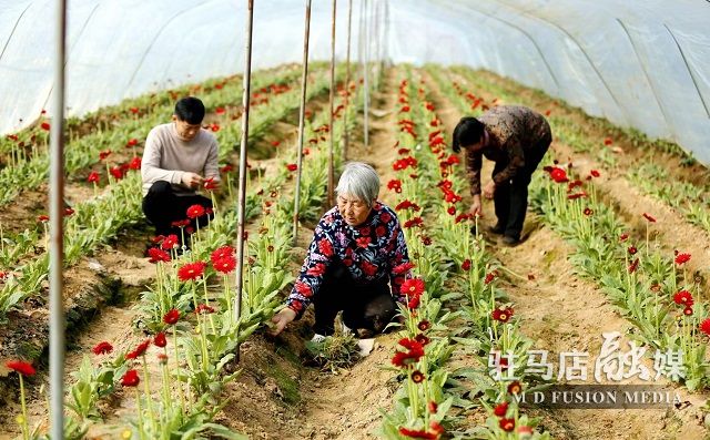 微信图片_20230218081551.jpg