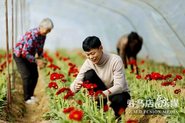 微信图片_202302180815511.jpg