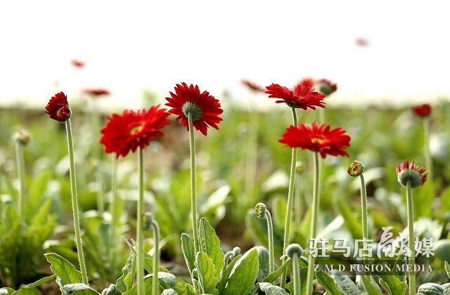微信图片_202302180815514.jpg