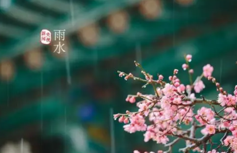 雨水节气一定下雨吗？哪里雨水多？