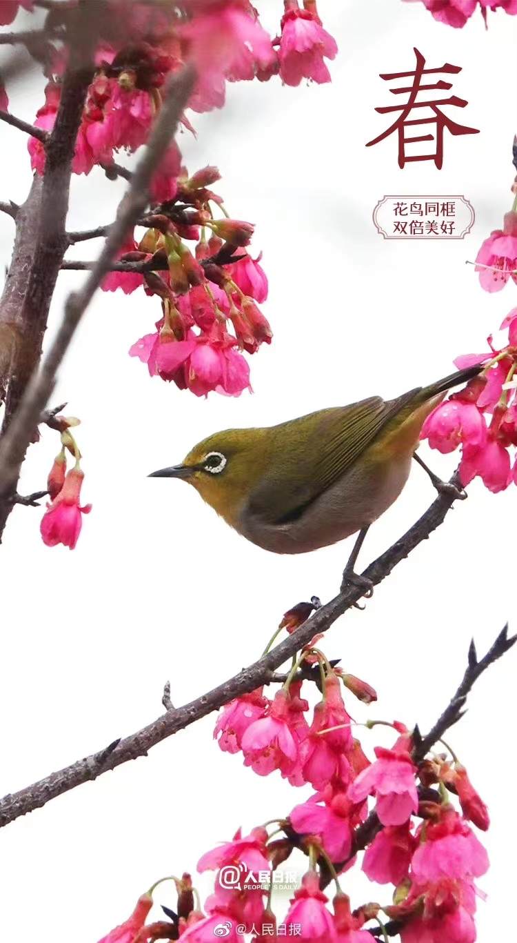 微信图片_20230221105359.jpg
