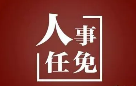河南最新人事任免！涉省政府副秘书长、多个国企高管