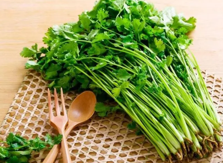 世界讨厌香菜日，来聊聊你对香菜是爱还是恨？