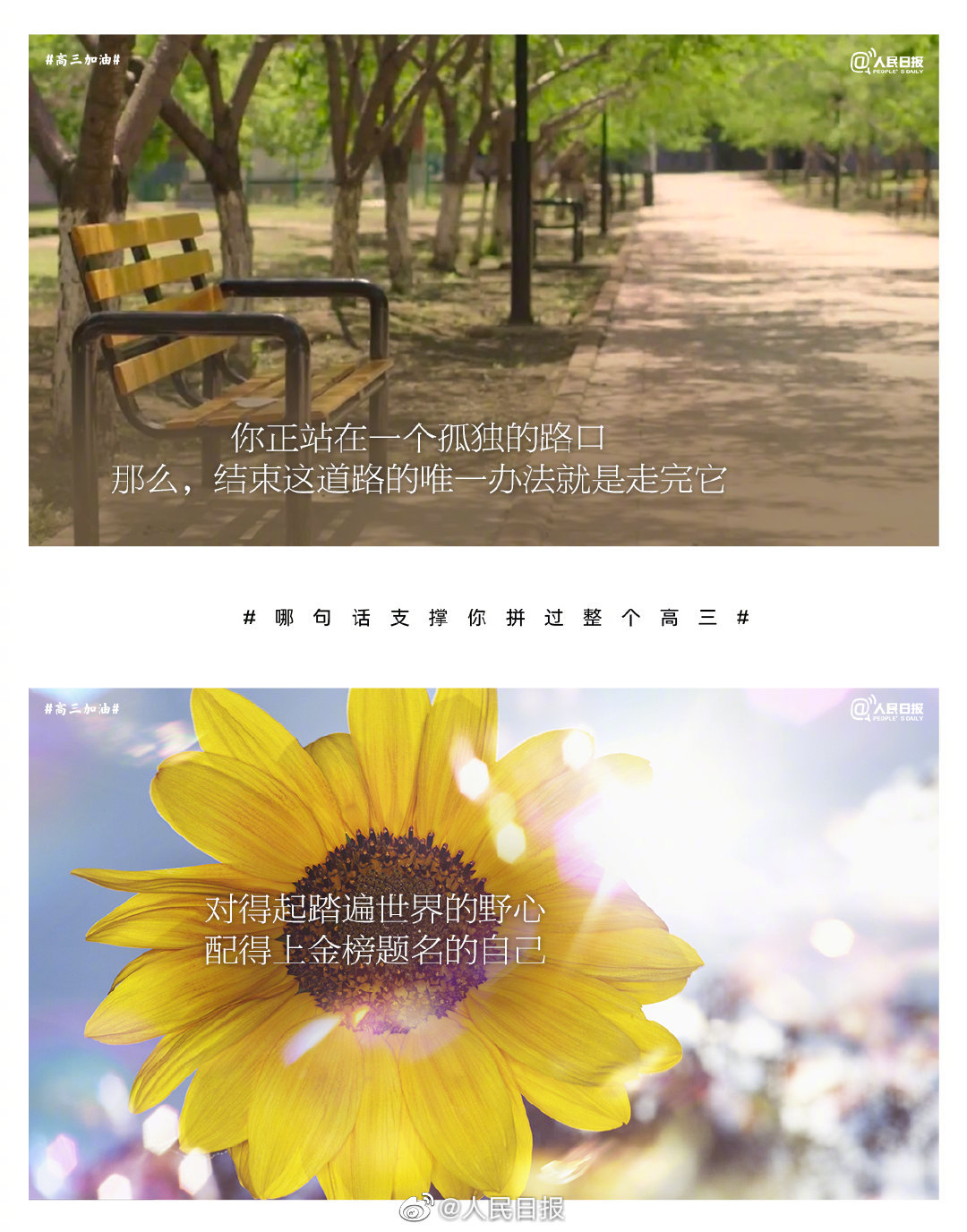 微信图片_20230227093013.jpg