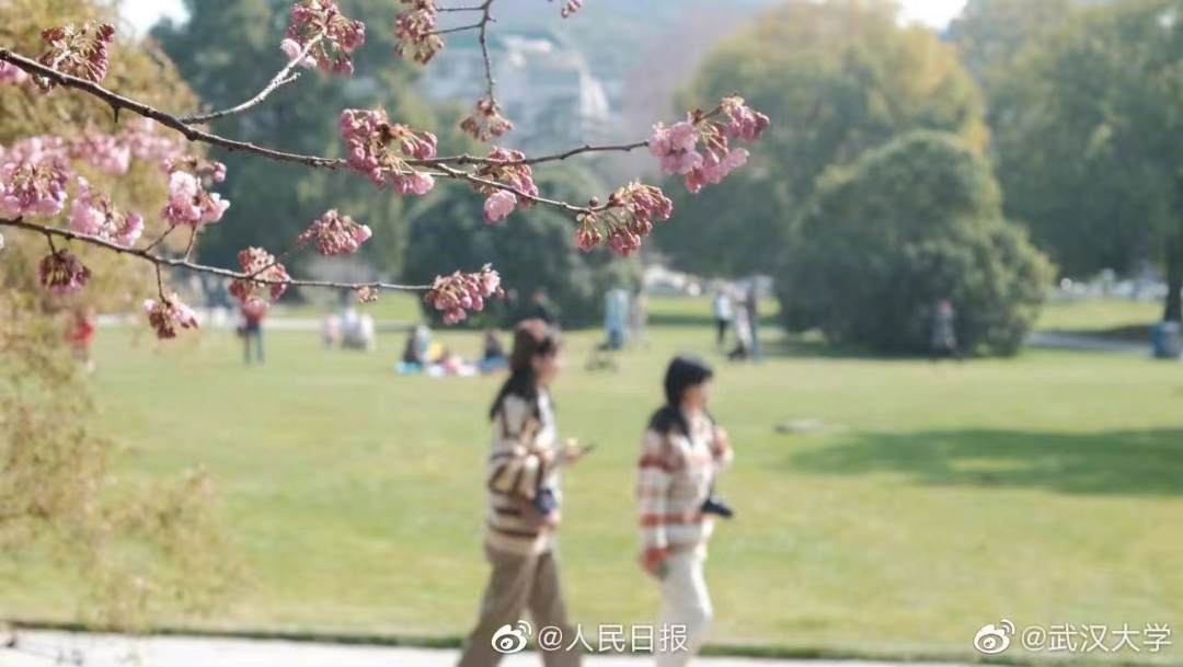 微信图片_20230227095005.jpg