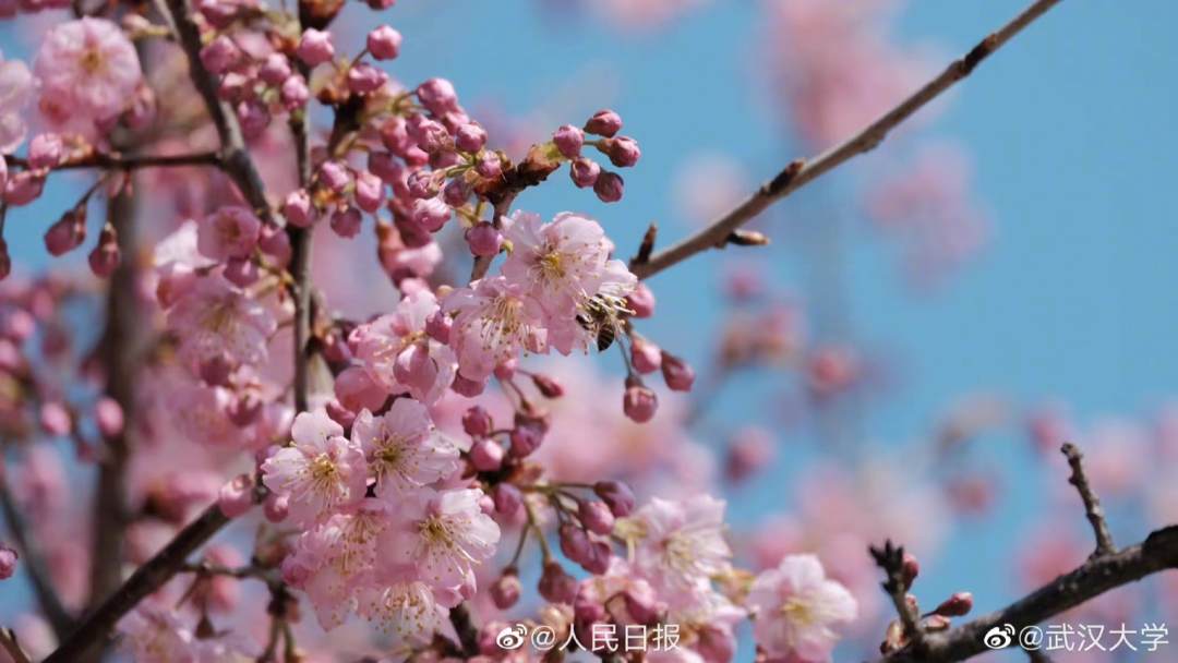 微信图片_20230227095003.jpg