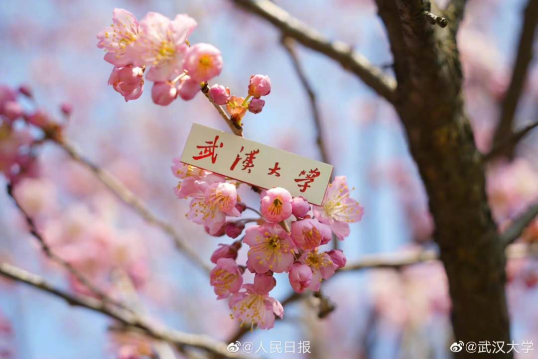 微信图片_20230227095007.jpg