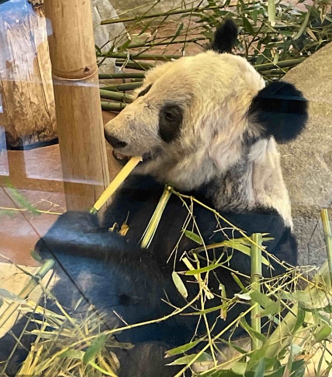 微信图片_20230302090646.jpg