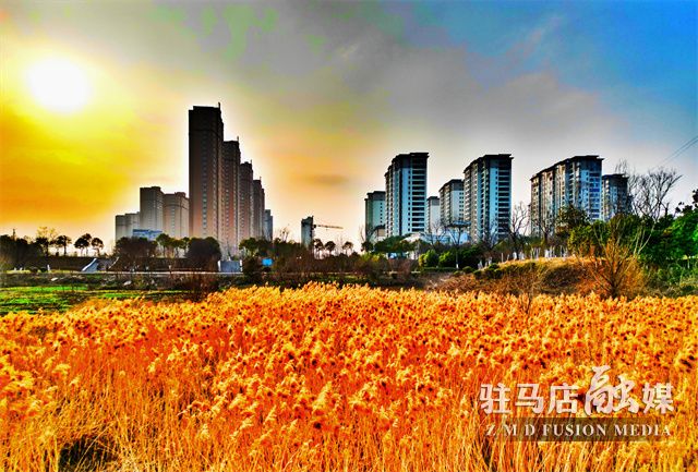 微信图片_20230302094727.jpg