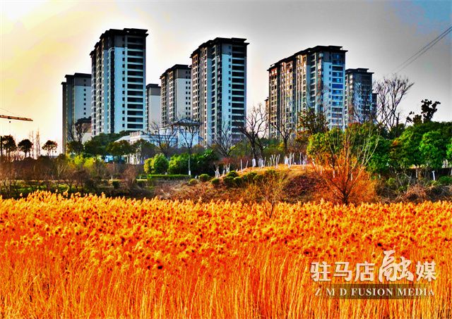 微信图片_20230302094730.jpg