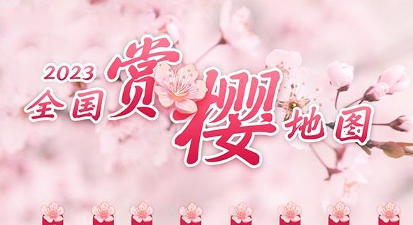 2023全国赏樱地图出炉 江南即将开启最美樱花季