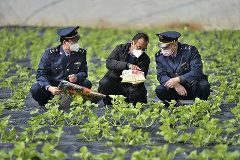 七部门部署2023年全国农资打假专项治理行动