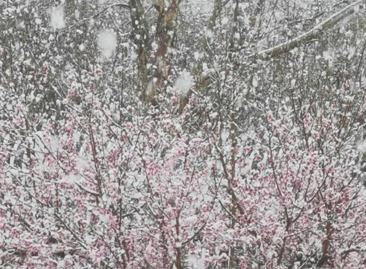 河南这场暴雪咋来的?原因找到了!