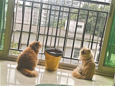 微信图片_20230320091249.jpg
