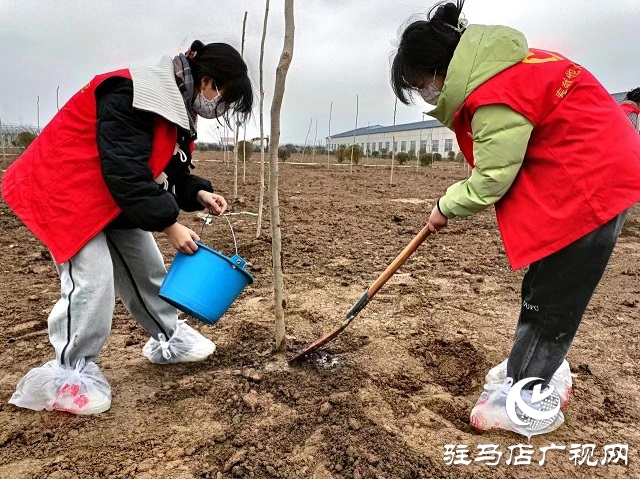 驻马店职业技术学院：青春践行二十大 续写雷锋新篇章