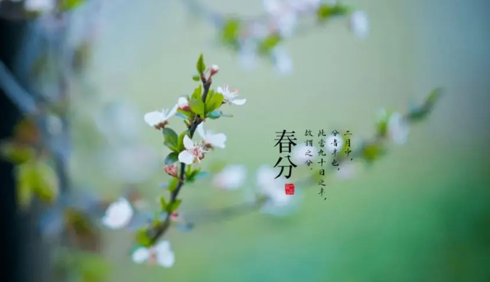 今日春分｜不负春光 不负梦想