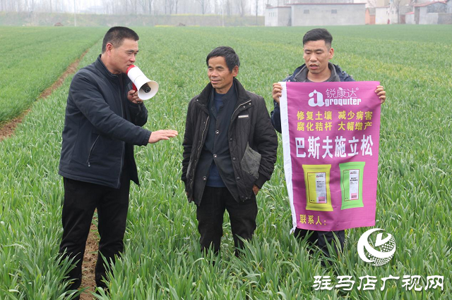施立松河南省核心经销商座谈会胜利召开