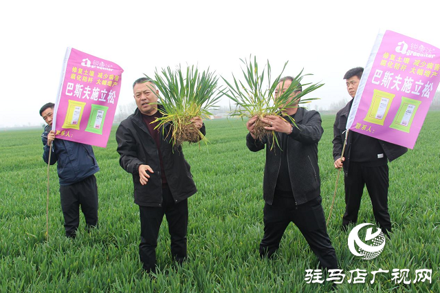 施立松河南省核心经销商座谈会胜利召开
