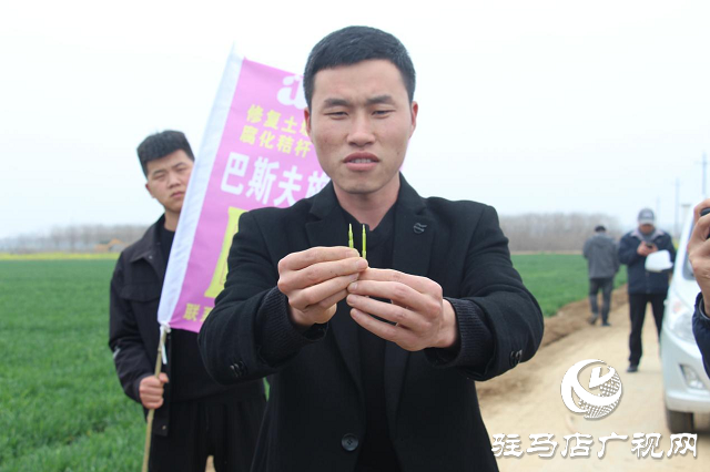 施立松河南省核心经销商座谈会胜利召开