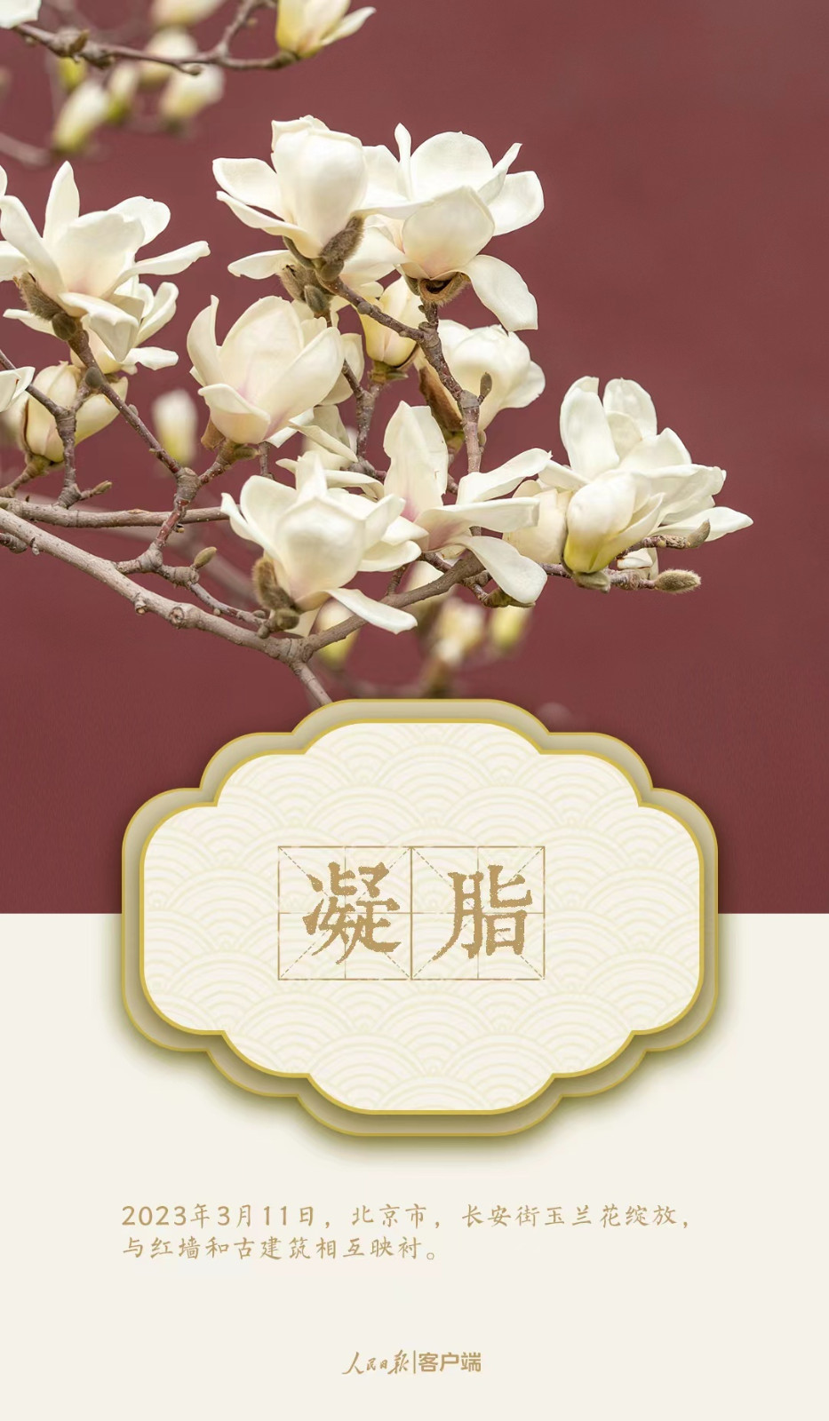 微信图片_20230323102321.jpg