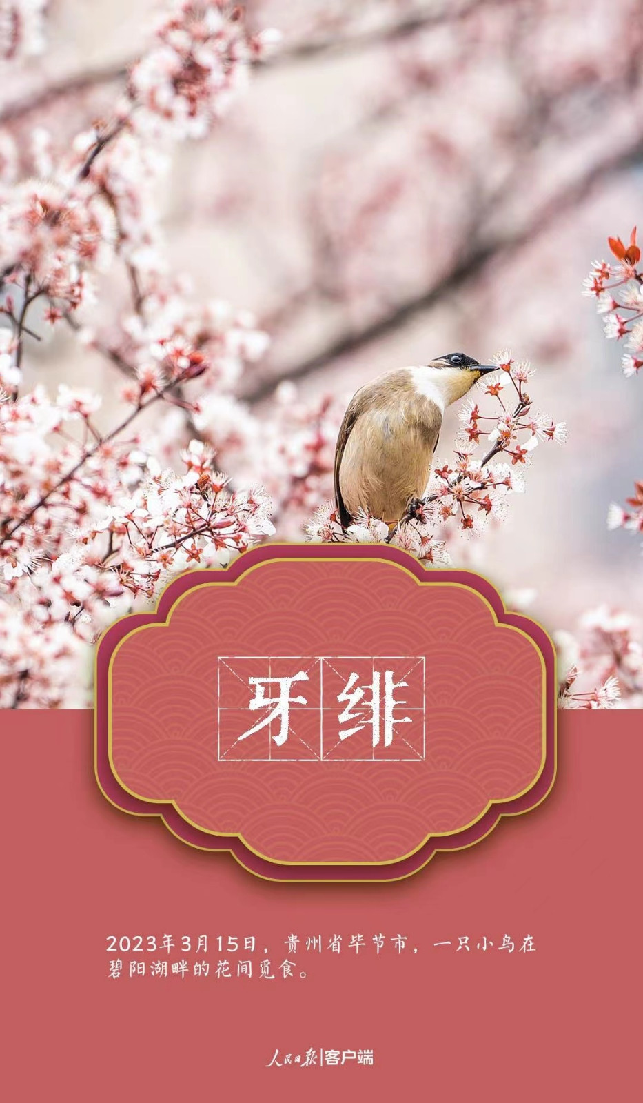 微信图片_20230323102329.jpg