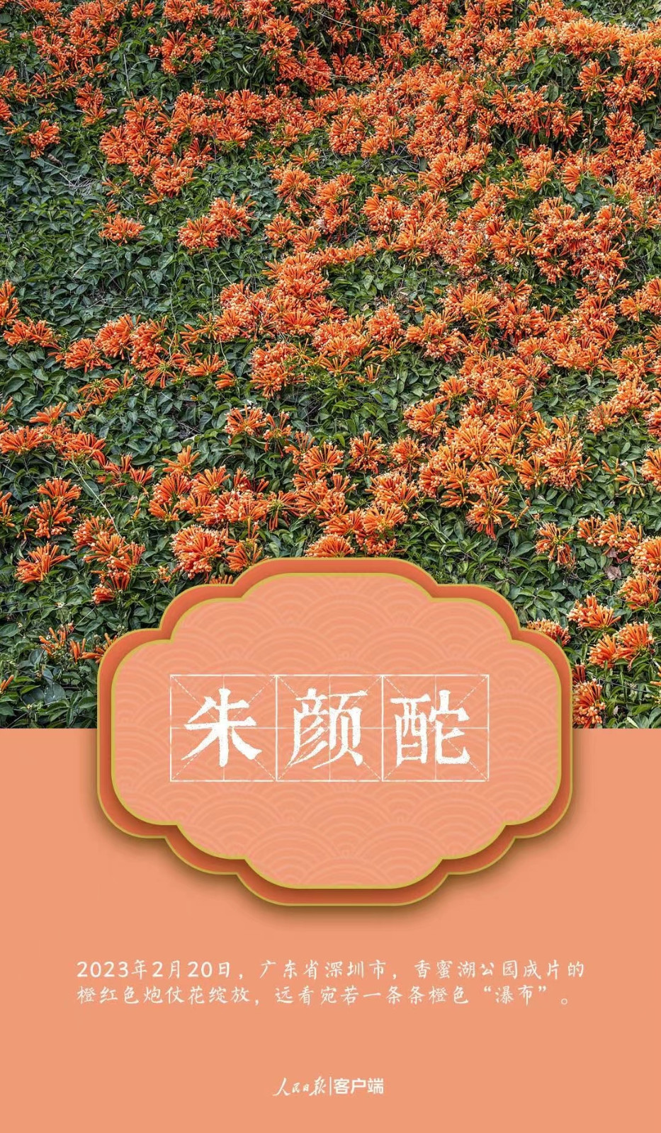 微信图片_20230323102331.jpg