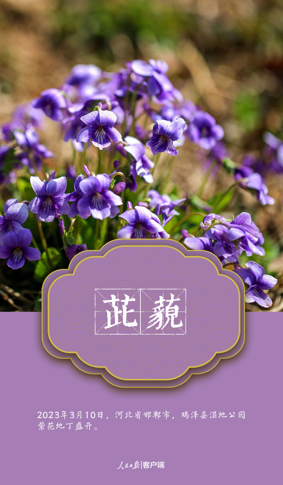 微信图片_20230323102336.jpg